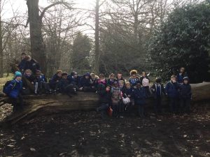 Year 2: Our Visit to Kew Gardens
