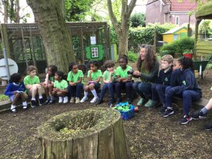 Year 2: Sowing Sunflower Seeds