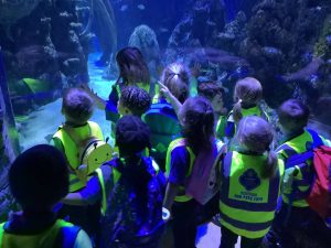 Nursery's trip to the London Aquarium